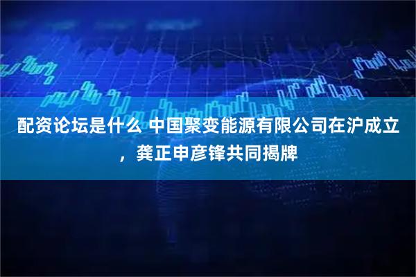 配资论坛是什么 中国聚变能源有限公司在沪成立，龚正申彦锋共同揭牌