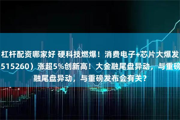 杠杆配资哪家好 硬科技燃爆！消费电子+芯片大爆发，电子ETF（515260）涨超5%创新高！大金融尾盘异动，与重磅发布会有关？