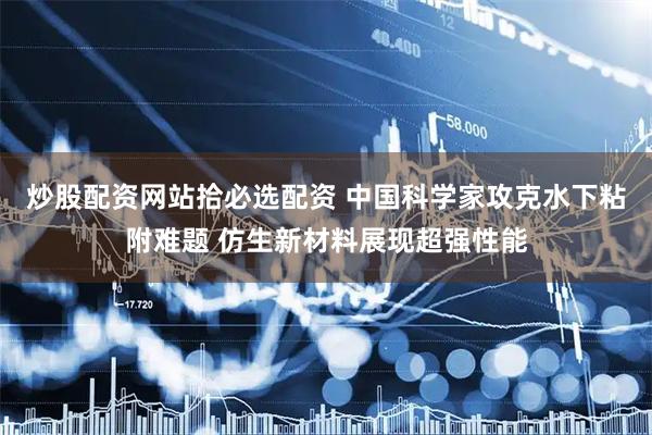 炒股配资网站拾必选配资 中国科学家攻克水下粘附难题 仿生新材料展现超强性能