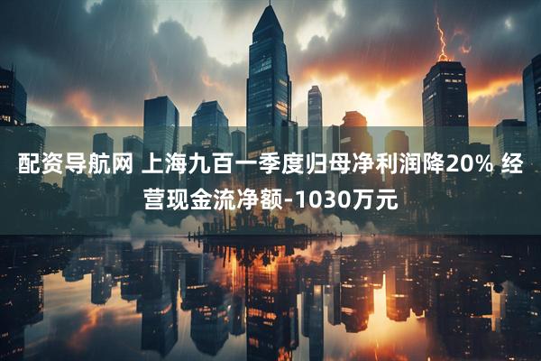 配资导航网 上海九百一季度归母净利润降20% 经营现金流净额-1030万元